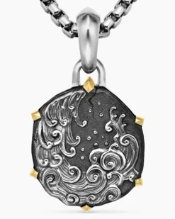 Aquarius Amulet Sterling Silver with 18K Yellow Gold, 23mm