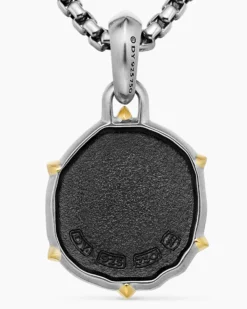 Aquarius Amulet Sterling Silver with 18K Yellow Gold, 23mm