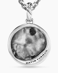 Aquarius Amulet Sterling Silver with 18K Yellow Gold and Diamonds, 19mm