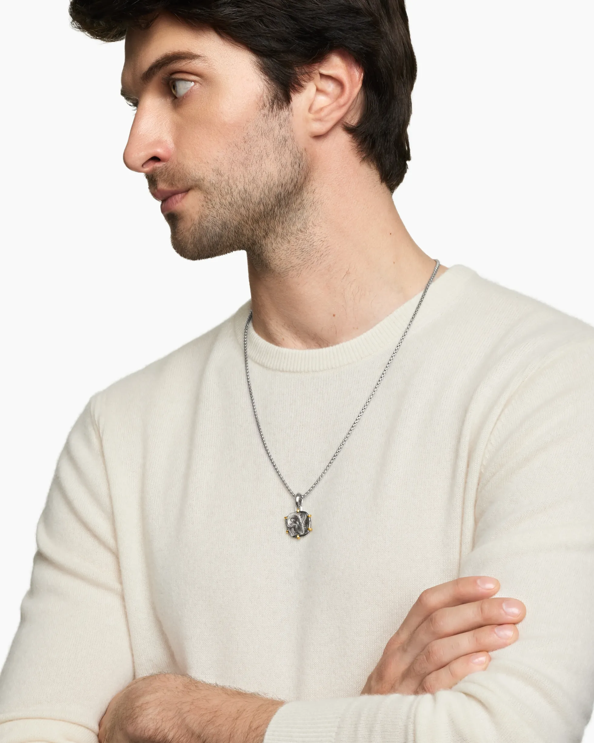 Aries Amulet Sterling Silver with 18K Yellow Gold, 23mm