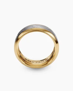 Beveled Band Ring 18K Yellow Gold with Meteorite, 8.5mm