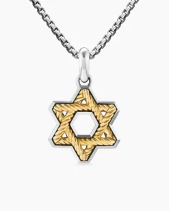 Cable Star of David Amulet Sterling Silver with 18K Yellow Gold, 19mm