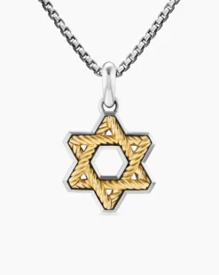 Cable Star of David Amulet Sterling Silver with 18K Yellow Gold, 19mm