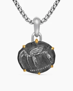 Cancer Amulet Sterling Silver with 18K Yellow Gold, 23mm