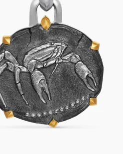 Cancer Amulet Sterling Silver with 18K Yellow Gold, 23mm