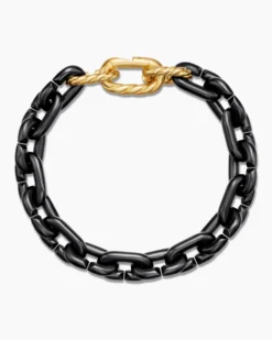 Chain Links Bracelet Black Titanium with 18K Yellow Gold, 10mm