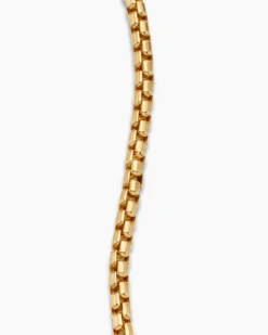 DY Bel Aire Box Chain Bracelet 18K Yellow Gold, 2.7mm