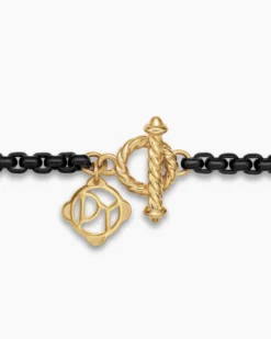 DY Bel Aire Color Box Chain Necklace Black Acrylic with 14K Yellow Gold, 2.7mm