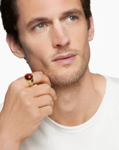 Faceted Signet Ring 18K Yellow Gold with Garnet, 17.3mm