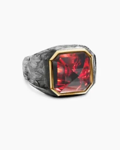 Hexagonal Signet Ring 18K Yellow Gold with Forged Carbon and Garnet, 17.7mm