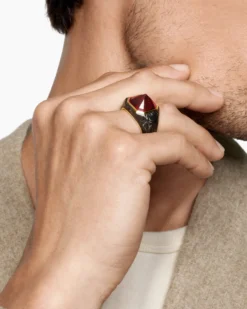 Hexagonal Signet Ring 18K Yellow Gold with Forged Carbon and Garnet, 17.7mm