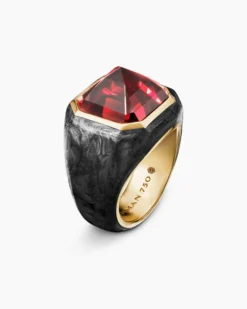 Hexagonal Signet Ring 18K Yellow Gold with Forged Carbon and Garnet, 17.7mm
