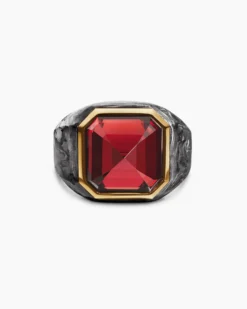 Hexagonal Signet Ring 18K Yellow Gold with Forged Carbon and Garnet, 17.7mm