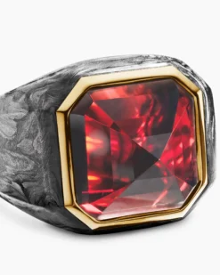 Hexagonal Signet Ring 18K Yellow Gold with Forged Carbon and Garnet, 17.7mm