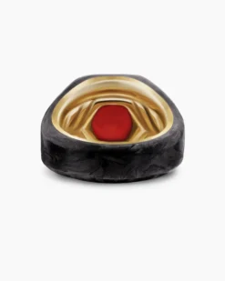 Hexagonal Signet Ring 18K Yellow Gold with Forged Carbon and Garnet, 17.7mm