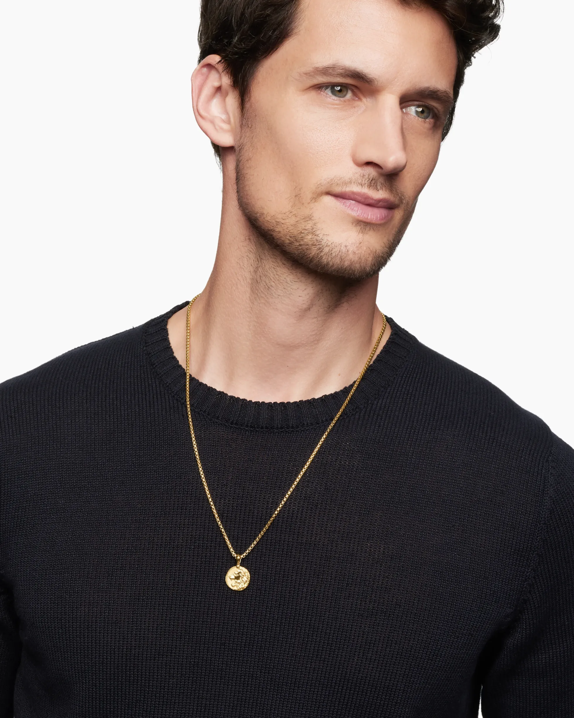Leo Amulet 18K Yellow Gold, 17mm