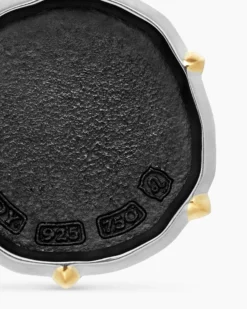 Leo Amulet Sterling Silver with 18K Yellow Gold, 23mm