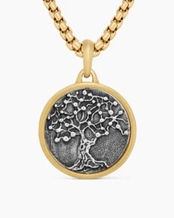Life and Death Duality Amulet Sterling Silver with 18K Yellow Gold, 24mm