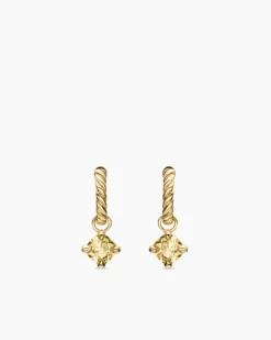 Micro Chatelaine® Drop Earrings 18K Yellow Gold with Champagne Citrine, 5mm