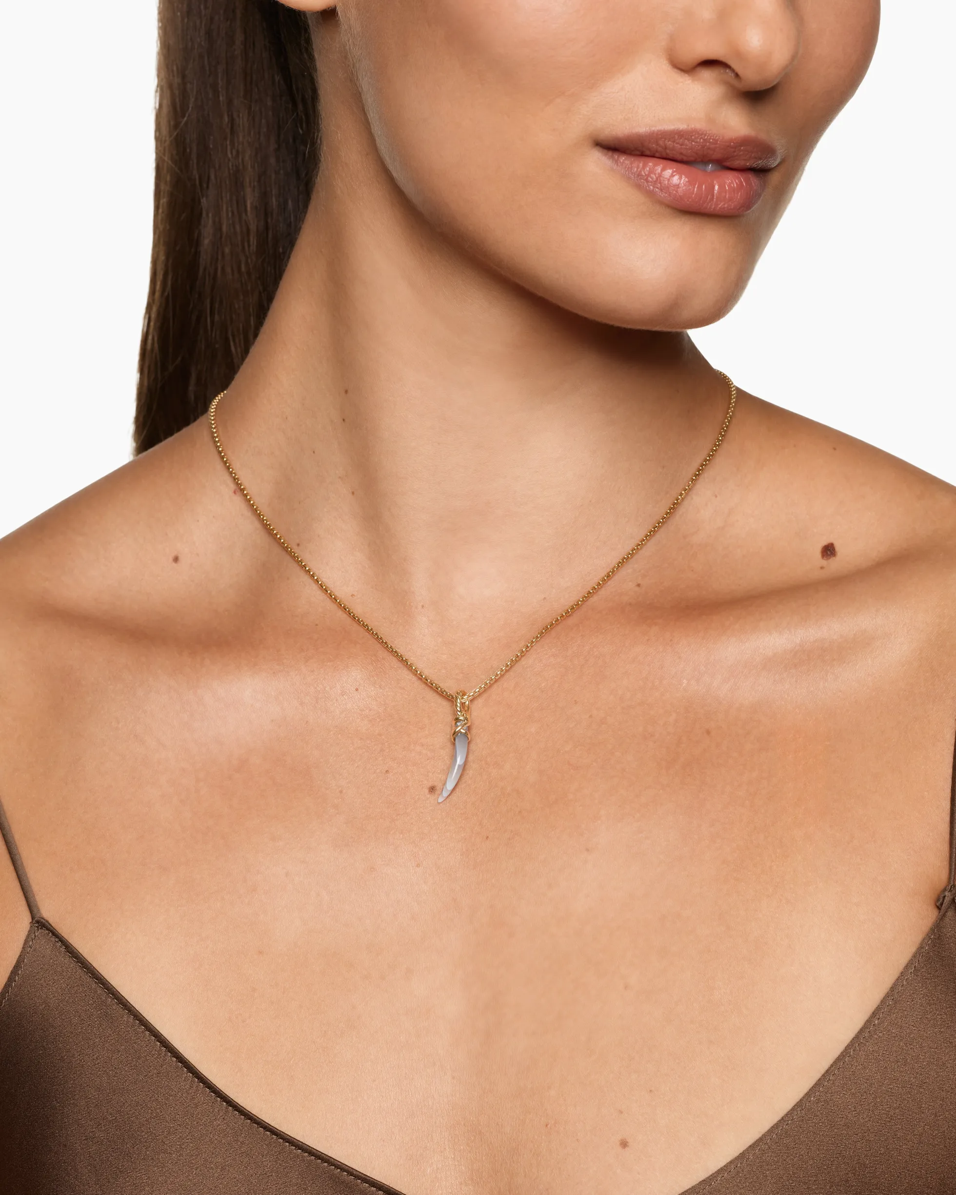 Petite Tusk Amulet 18K Yellow Gold with Botswana Agate, 20.5mm