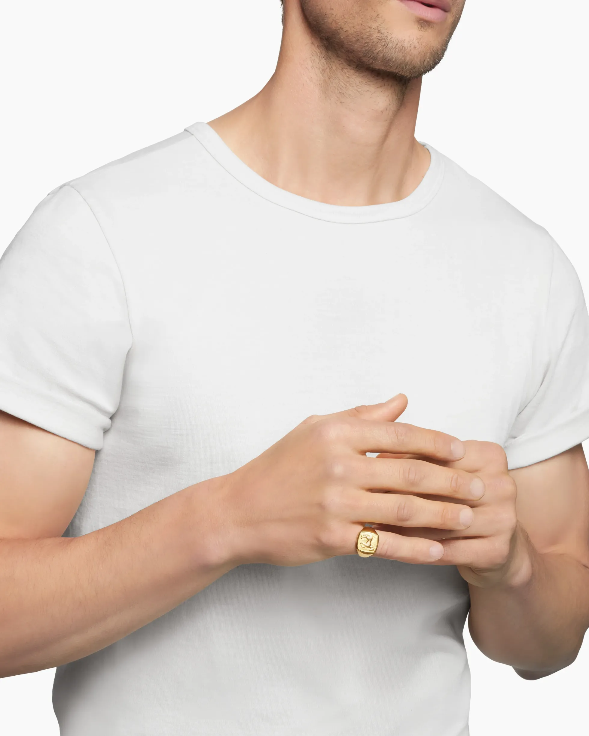 Petrvs® Horse Pinky Ring 18K Yellow Gold, 14.8mm