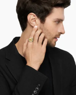 Petrvs® Horse Signet Ring Sterling Silver with 18K Yellow Gold, 18.3mm