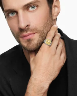 Petrvs® Horse Signet Ring Sterling Silver with 18K Yellow Gold, 18.3mm