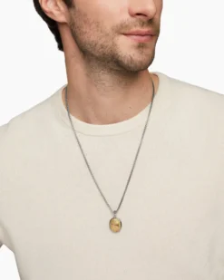 Petrvs® Scarab Amulet Sterling Silver with 18K Yellow Gold, 24mm