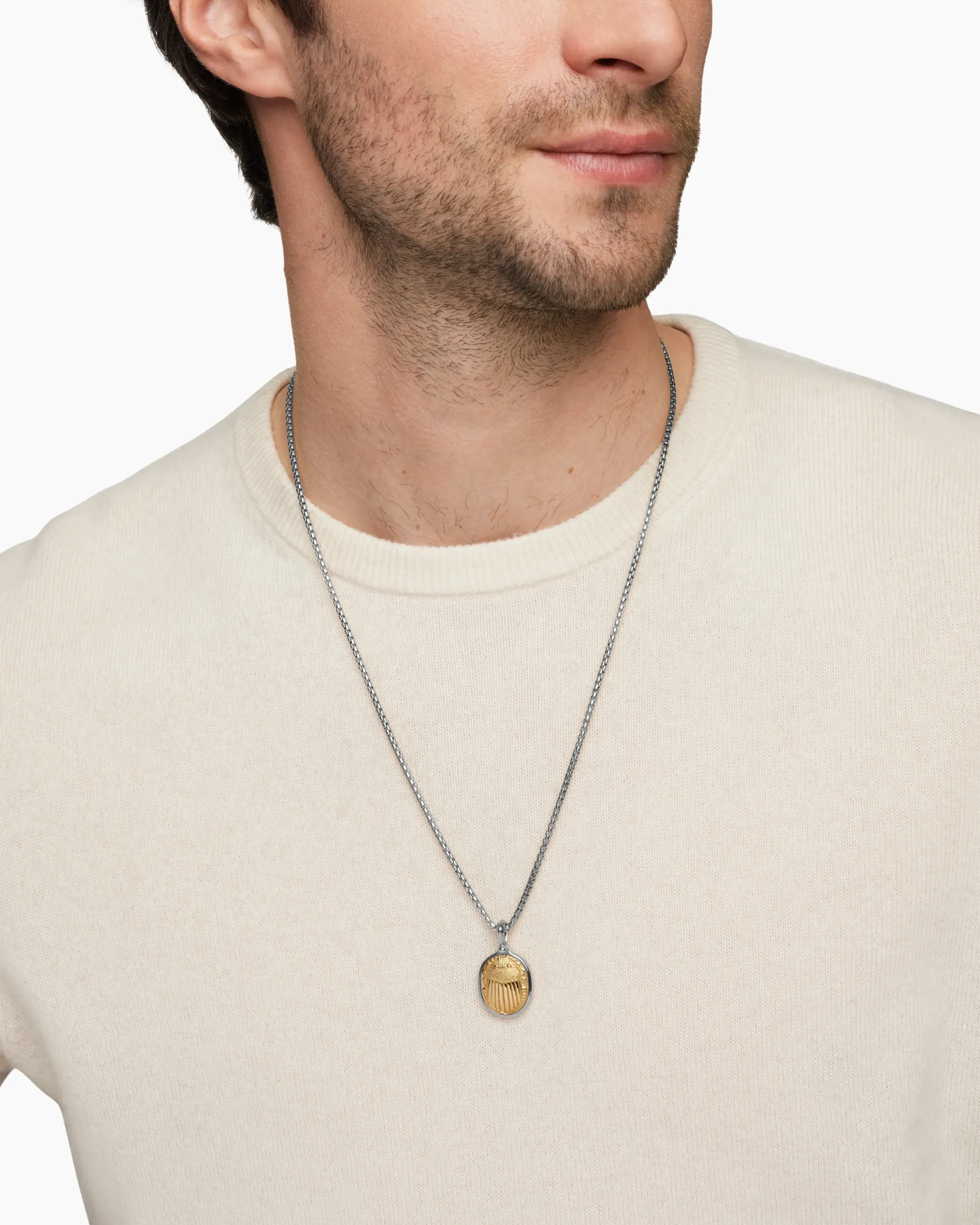 Petrvs® Scarab Amulet Sterling Silver with 18K Yellow Gold, 24mm