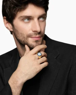 Petrvs® Wolf Signet Ring 18K Yellow Gold with Banded Agate, 21.5mm