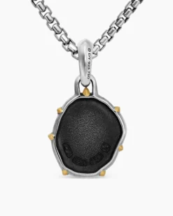 Pisces Amulet Sterling Silver with 18K Yellow Gold, 23mm