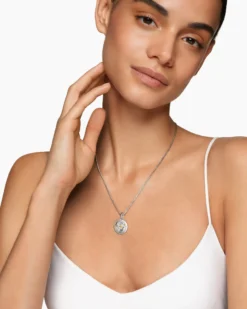 Pisces Amulet Sterling Silver with 18K Yellow Gold and Diamonds, 19mm
