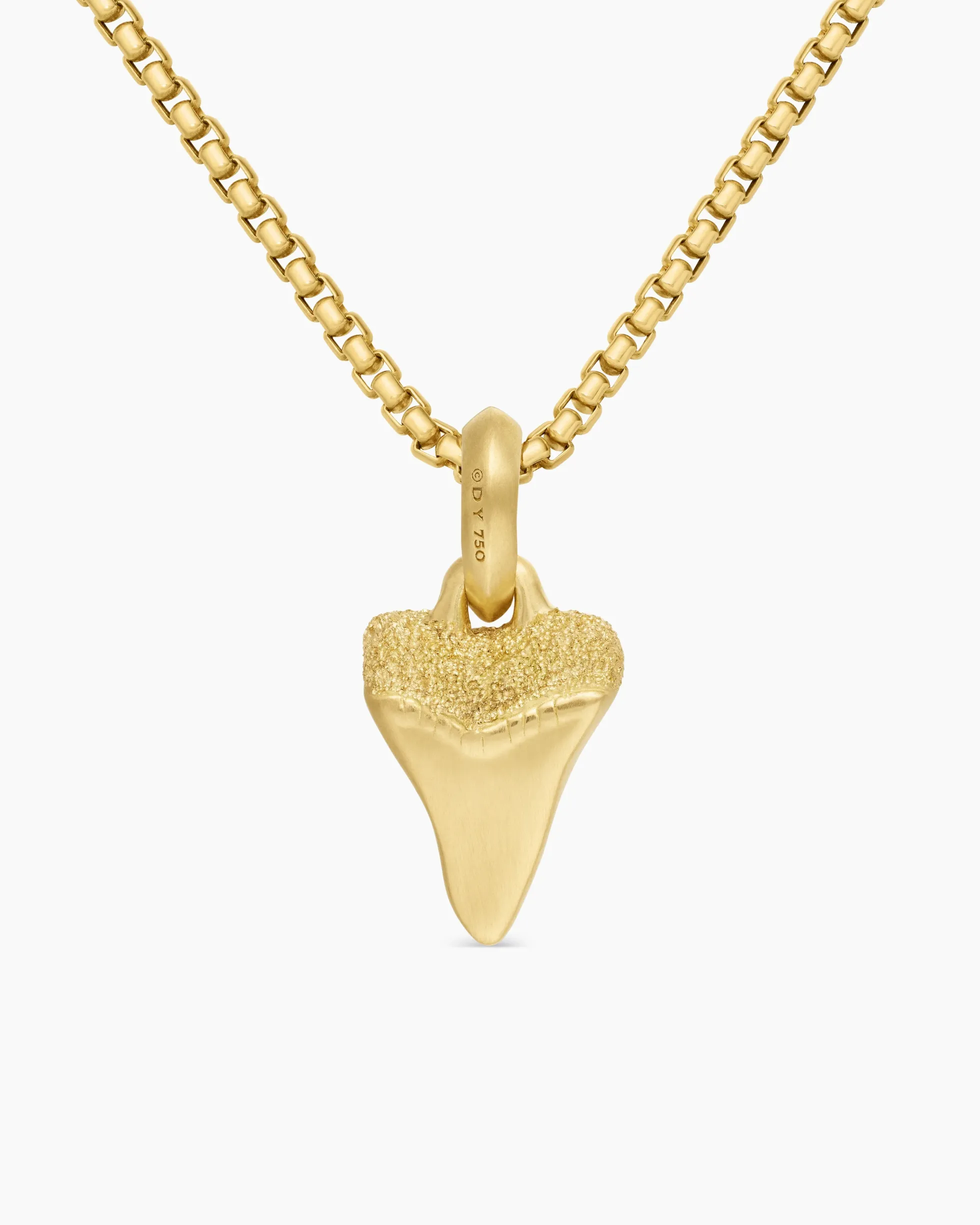 Shark Tooth Amulet 18K Yellow Gold, 17mm