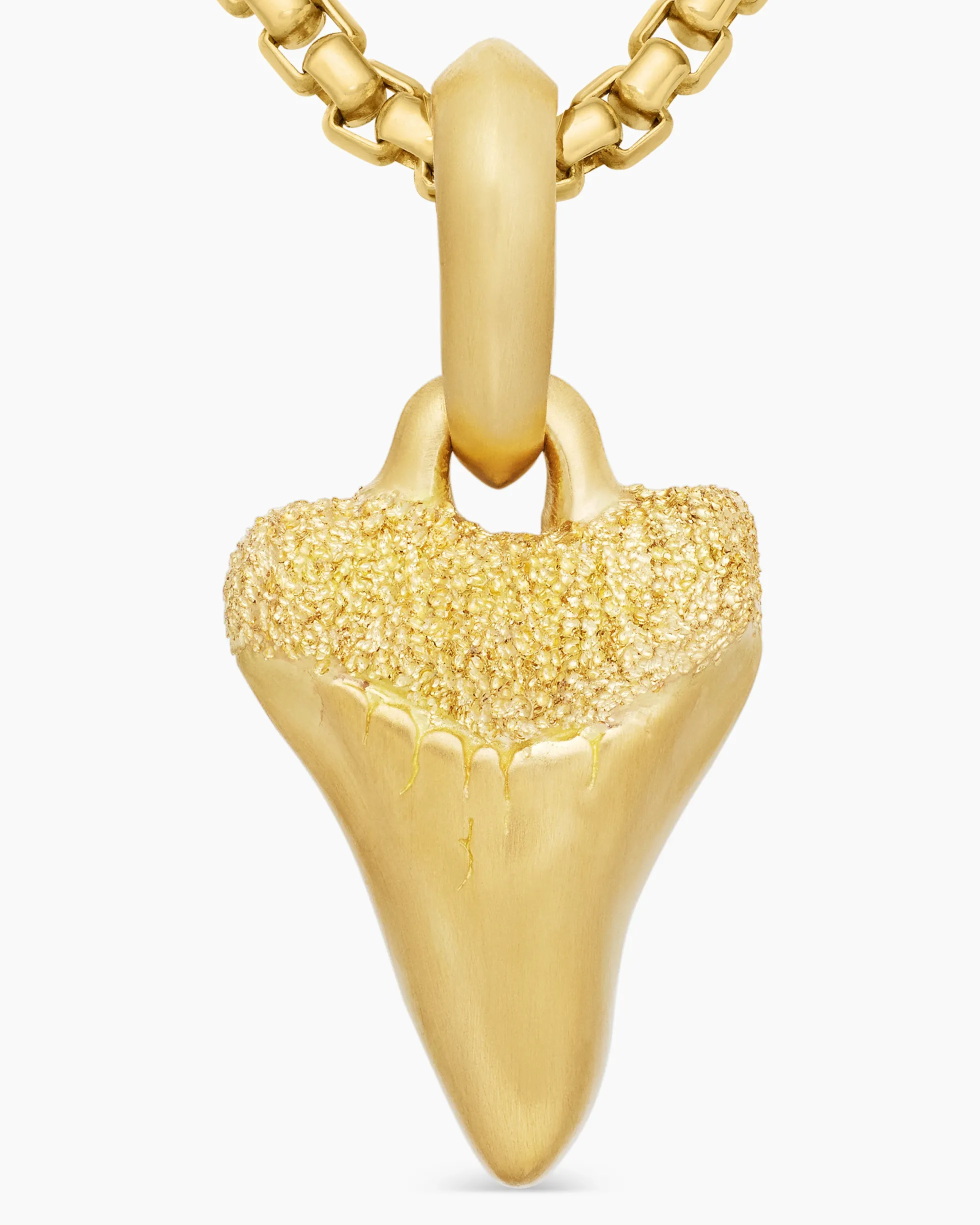 Shark Tooth Amulet 18K Yellow Gold, 17mm