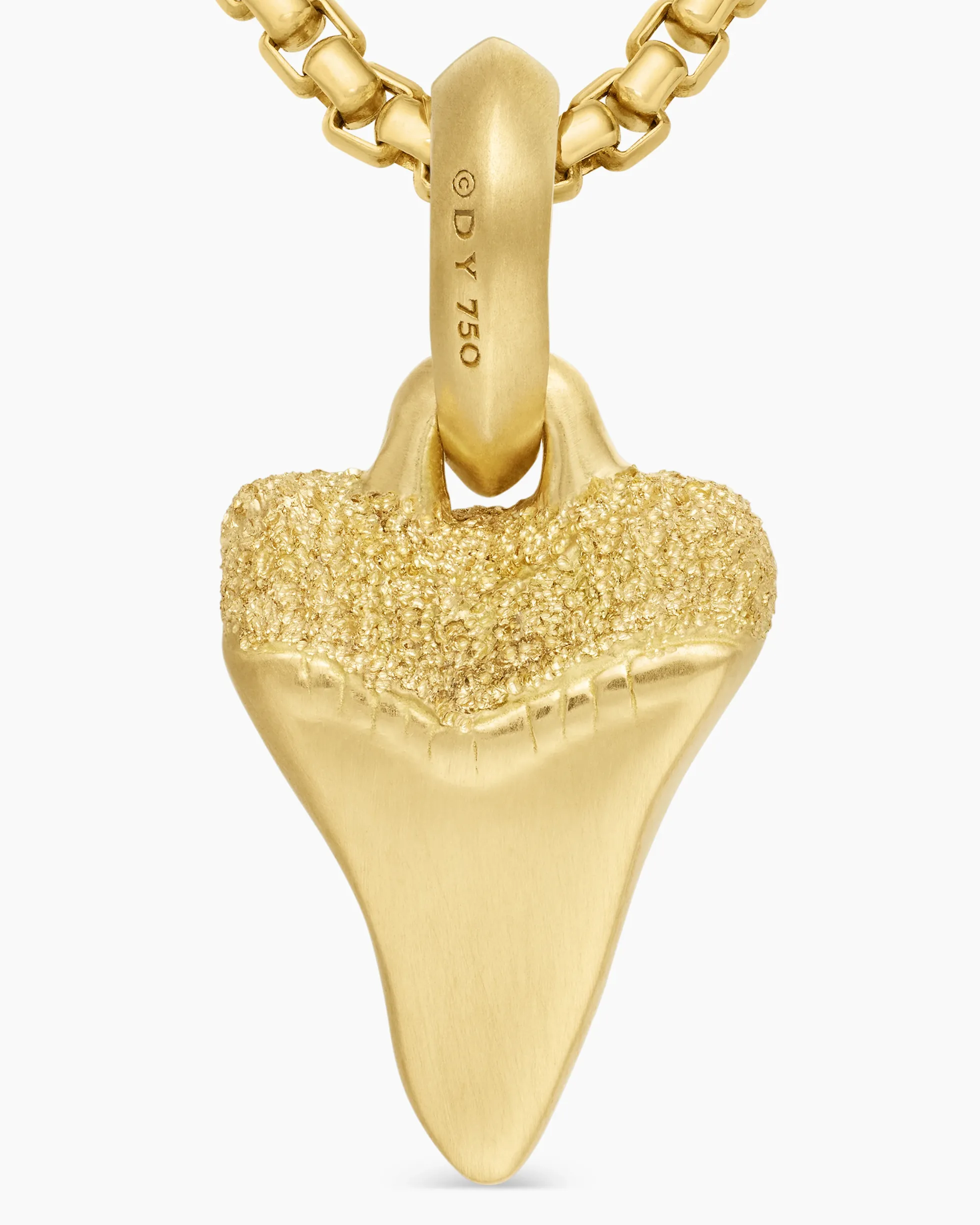 Shark Tooth Amulet 18K Yellow Gold, 17mm