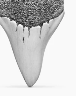 Shark Tooth Amulet Sterling Silver, 25.8mm