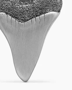 Shark Tooth Amulet Sterling Silver, 25.8mm