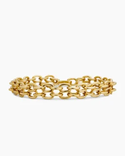 Shipwreck Chain Bracelet 18K Yellow Gold, 10mm