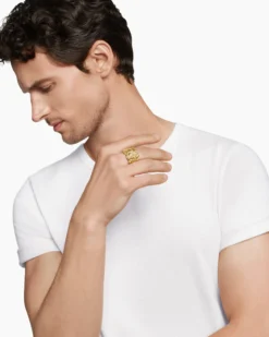 Shipwreck Signet Ring 18K Yellow Gold, 24mm