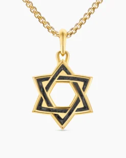 Star of David Amulet 18K Yellow Gold with Forged Carbon, 25mm