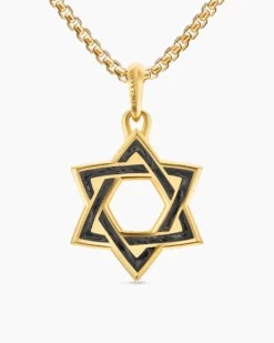 Star of David Amulet 18K Yellow Gold with Forged Carbon, 25mm