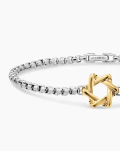 Star of David Station Bracelet Sterling Silver with 14K Yellow Gold, 3.6mm