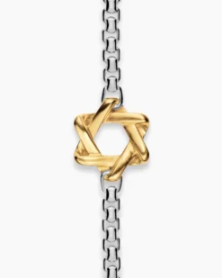 Star of David Station Necklace Sterling Silver with 14K Yellow Gold, 3.6mm