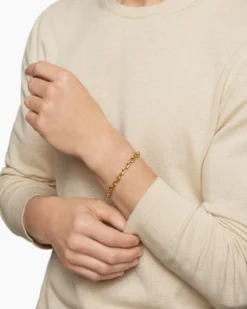 Streamline® Link Bracelet 18K Yellow Gold, 5.5mm