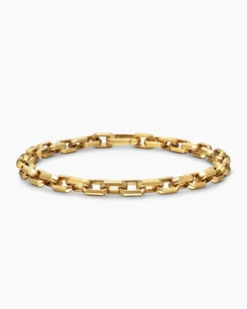 Streamline® Link Bracelet 18K Yellow Gold, 5.5mm