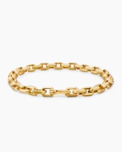 Streamline® Link Bracelet 18K Yellow Gold, 5.5mm