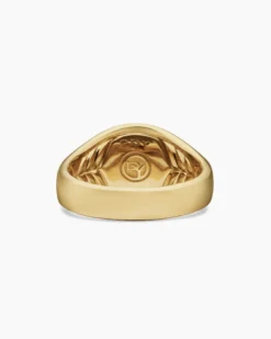 Streamline® Pinky Ring 18K Yellow Gold, 14mm