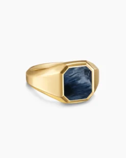 Streamline® Signet Ring 18K Yellow Gold with Pietersite, 14mm