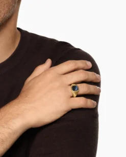 Streamline® Signet Ring 18K Yellow Gold with Pietersite, 14mm
