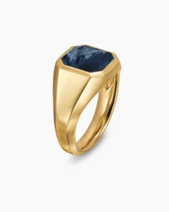 Streamline® Signet Ring 18K Yellow Gold with Pietersite, 14mm